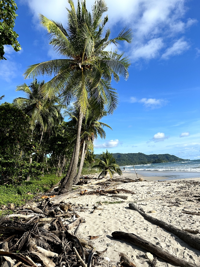 beach in Santa Teresa, Costa Rica
