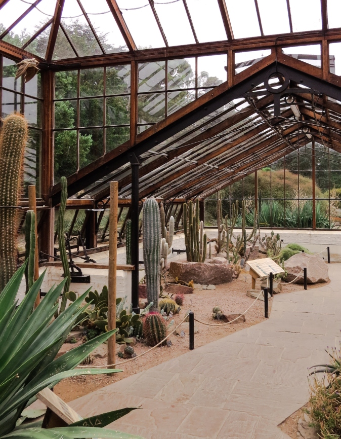 a glasshouse desert garden