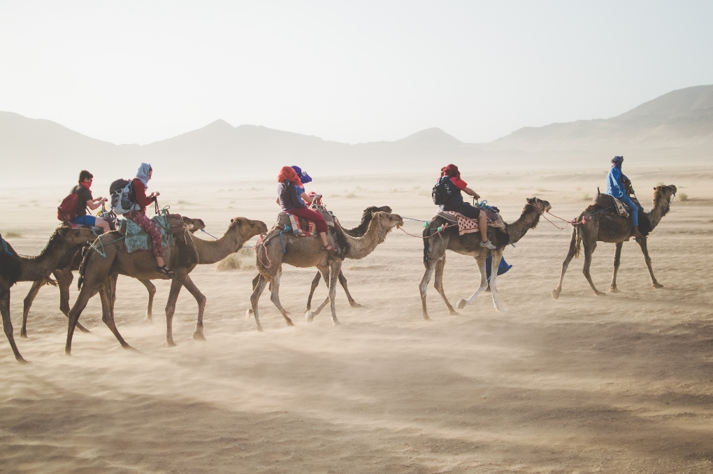 a tour on camels