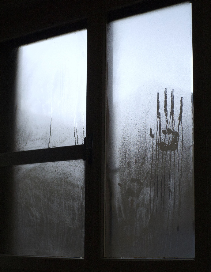 pair of handprints on a window