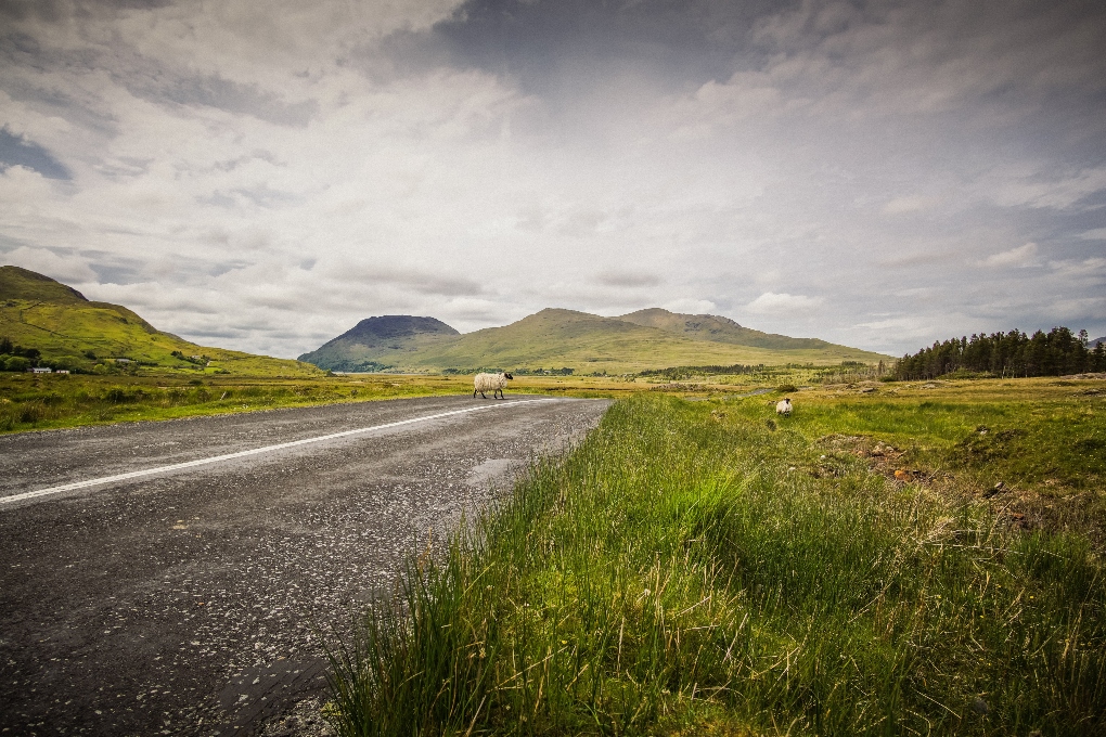 open road in the Irish countryside