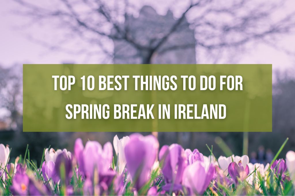 Top 10 Best Things to Do For Spring Break in Ireland