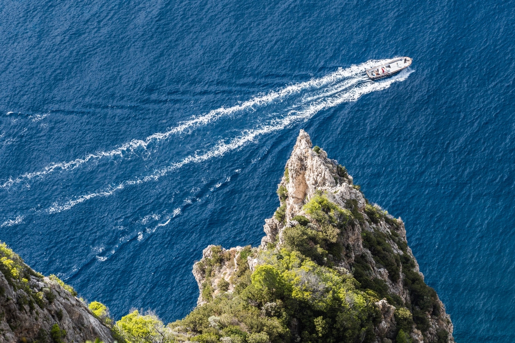 County Cork: Whale & Dolphin Watching Boat Trip