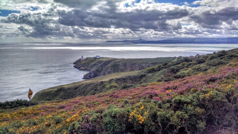 Top 25 Incredible Things to Do in Howth (2024)