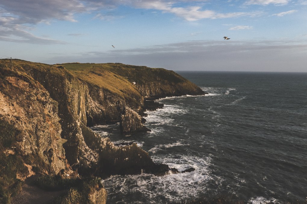 Old Head Kinsale Loop Walk