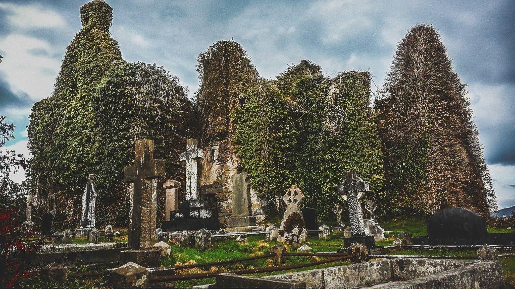 abbey ruins in Ireland