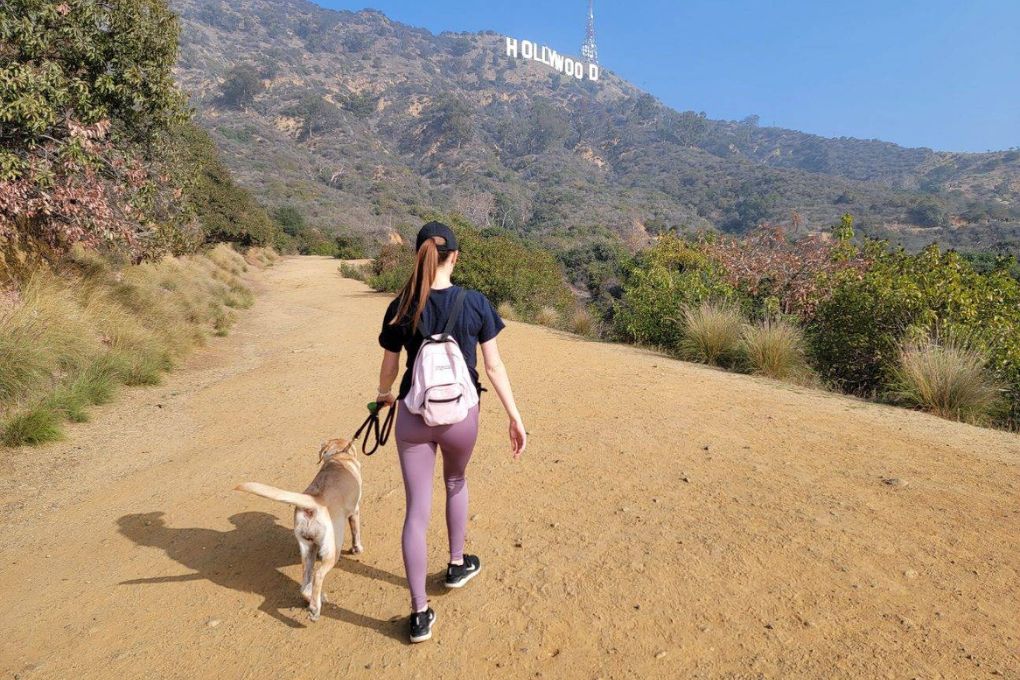 Hiking to the Hollywood Sign with my dog
