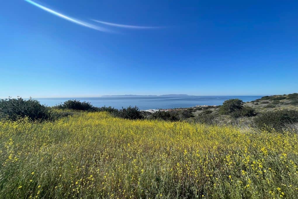 view of the ocean on Palos Verdes Peninsula