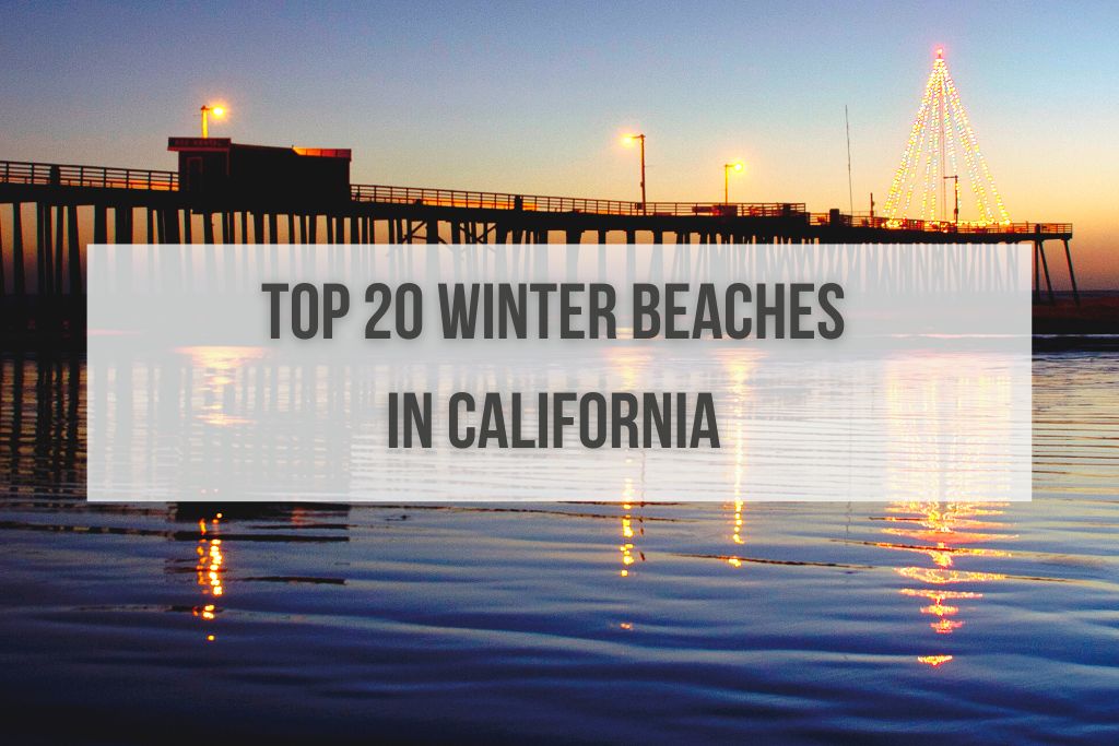 Top 20 Best Beaches in California in December (Winter)