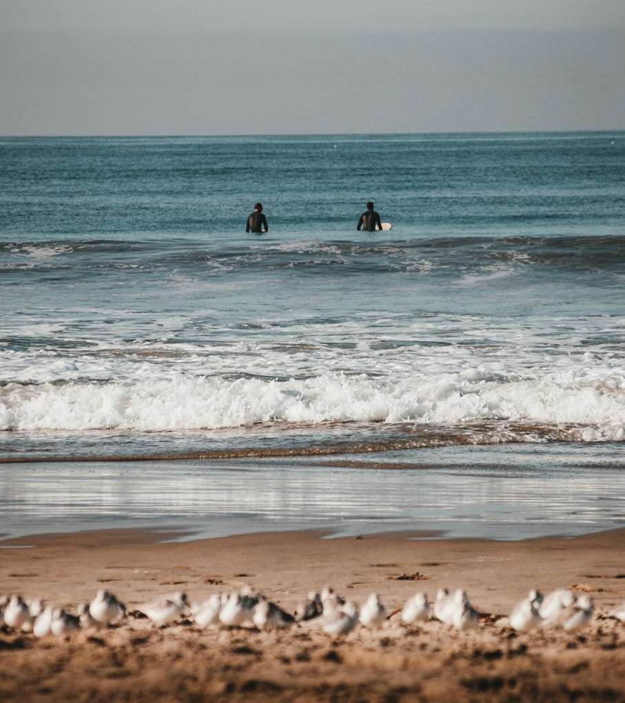 two surfers waiting for waves