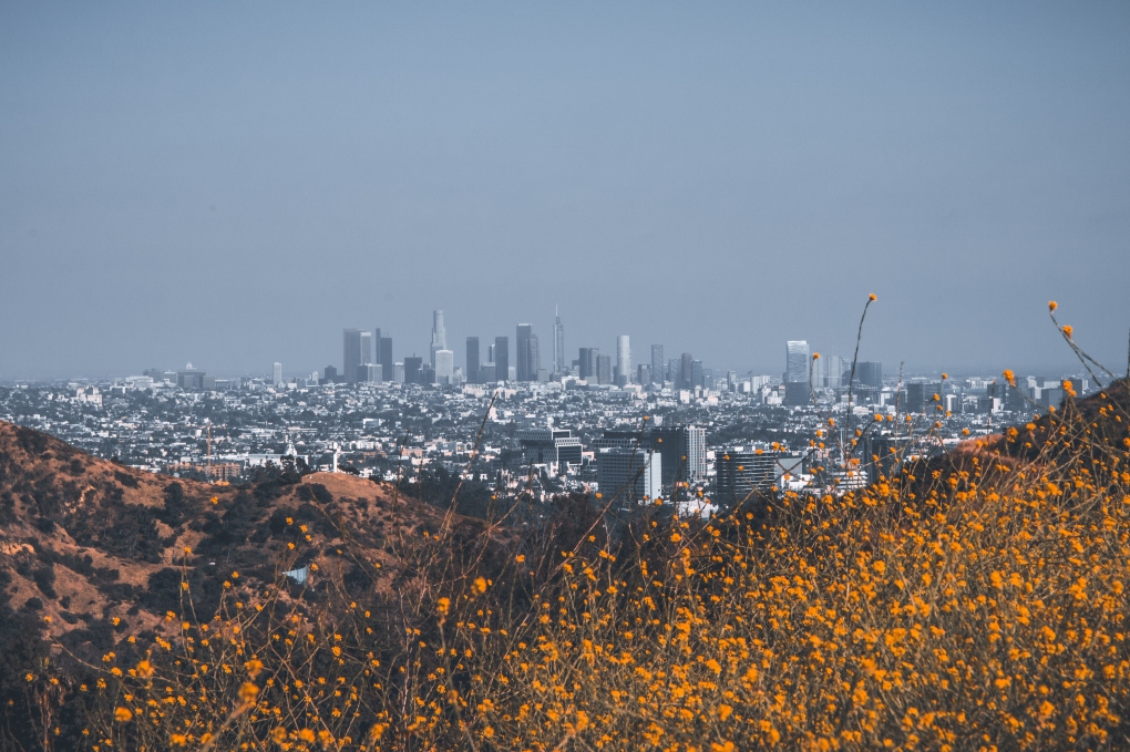 Los Angeles panoramic shot
