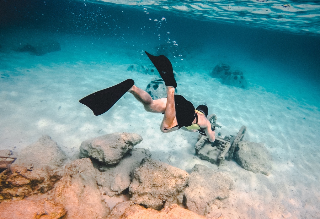 a snorkeling diving underwater