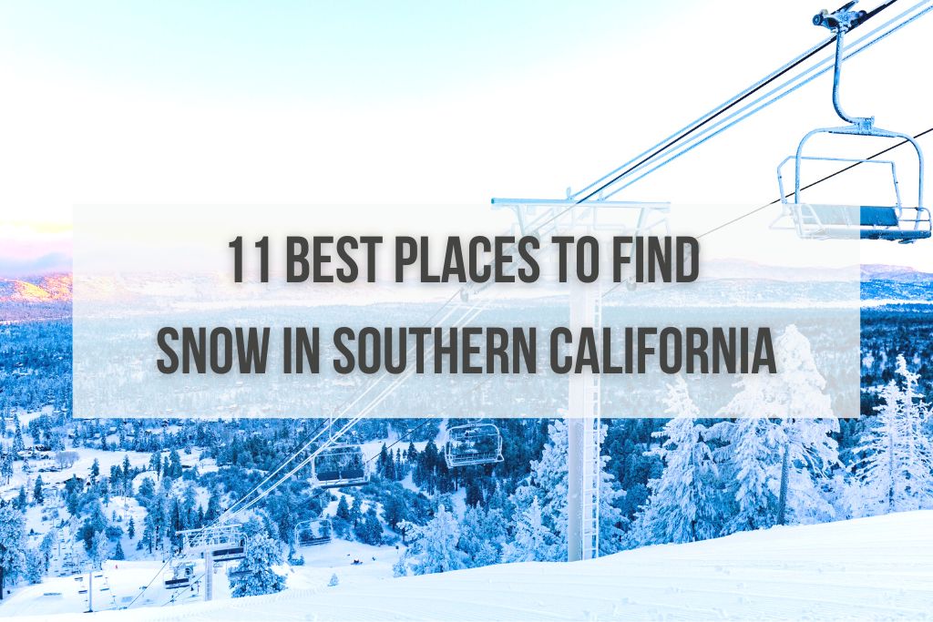 Does It Snow in Southern California? 11 Best Snow Spots!