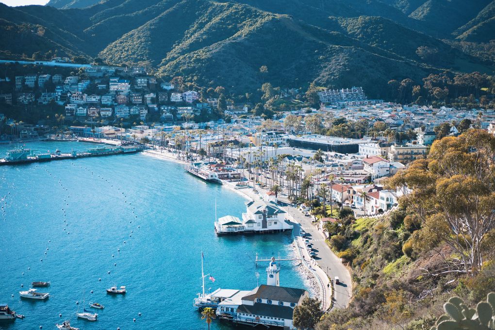 Snorkeling in Catalina Island: Best Spots, Rentals, and More!