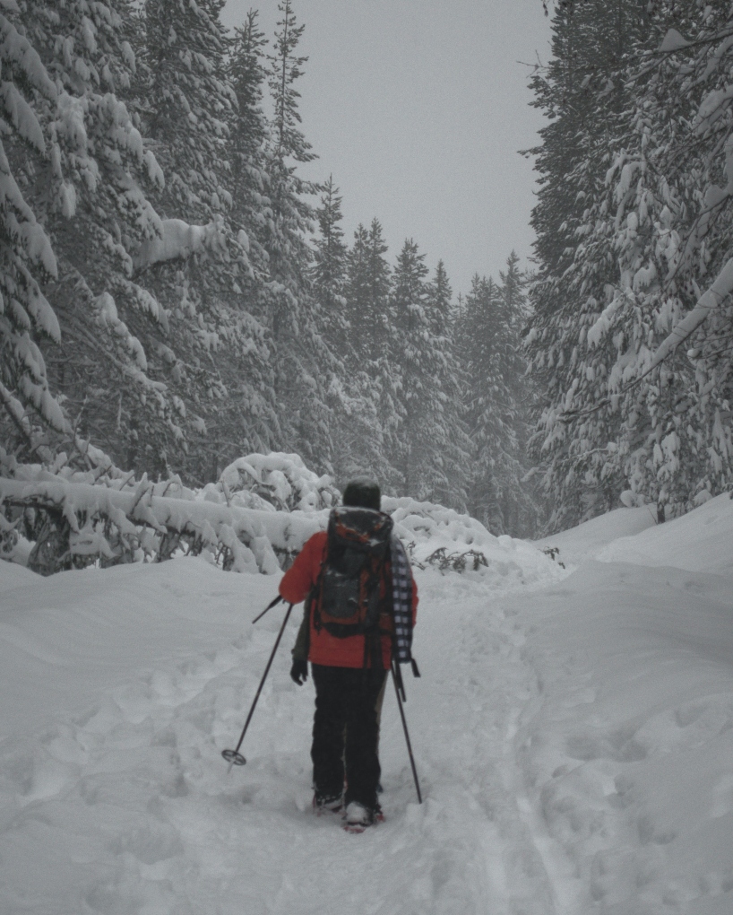 snowshoeing through the forest