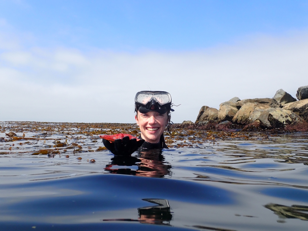 snorkeling in California, holding a sea star