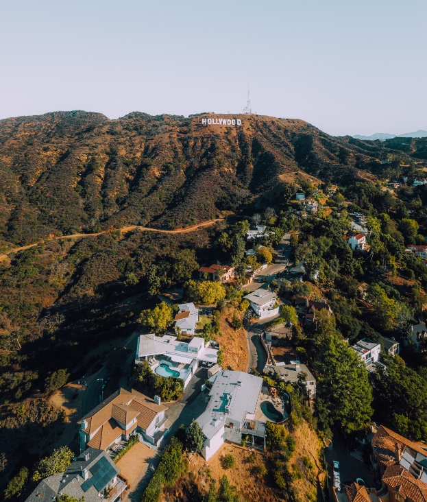 the Hollywood Hills