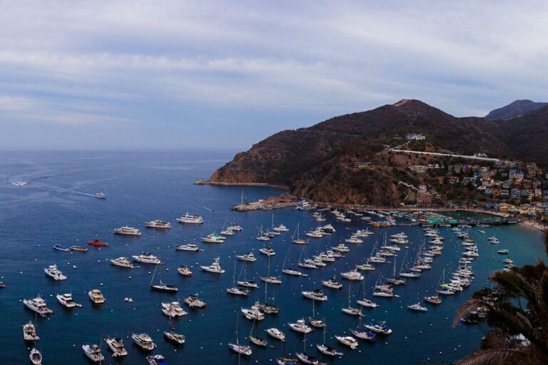 How to Get to Catalina Island From Santa Monica Guide