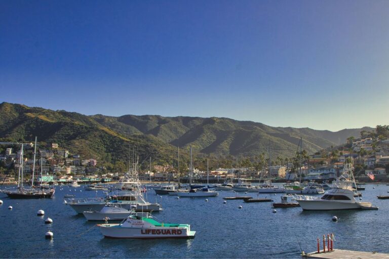 How to Get to Catalina Island From Anaheim Guide