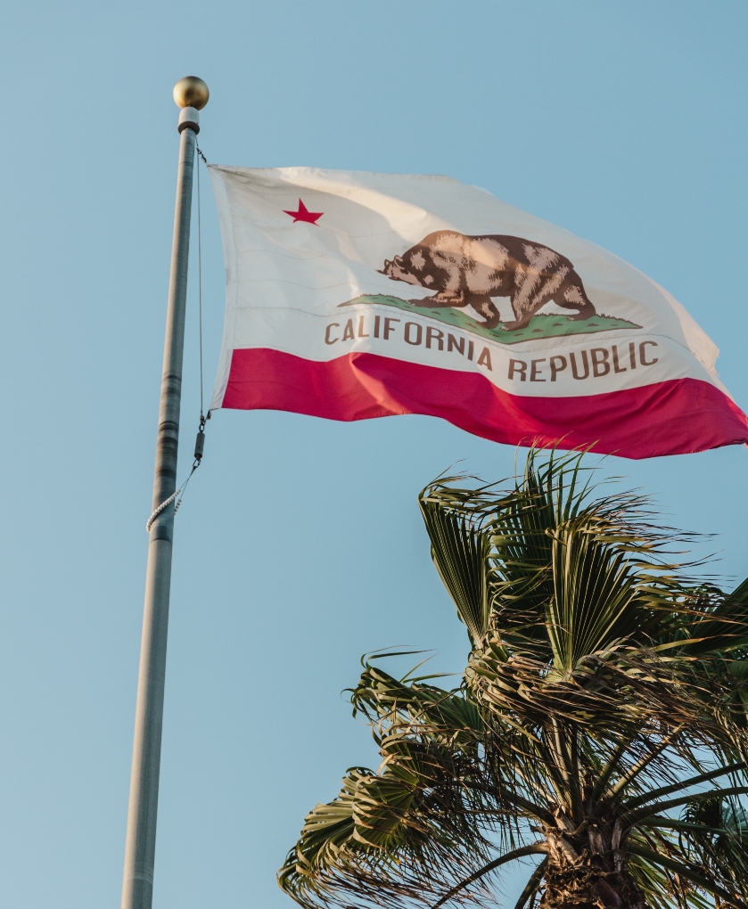 California's flag