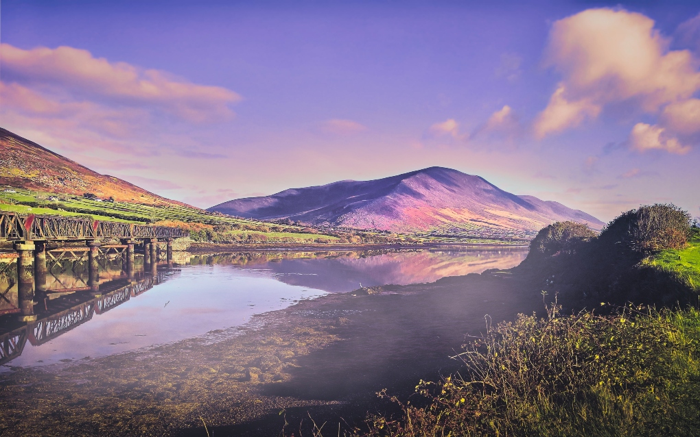 beautiful purple mountain in the Ring of Kerry
