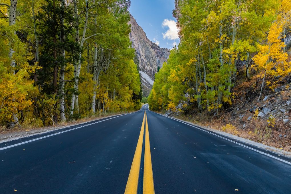 A Guide to Viewing June Lake Loop’s Fall Colors