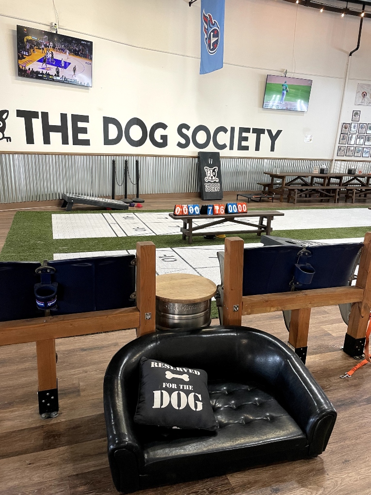 Dog Society game area
