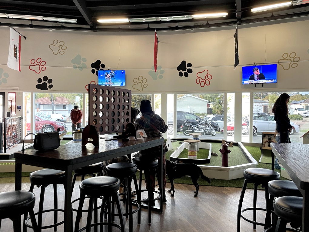 games at the inside dog bar/cafe