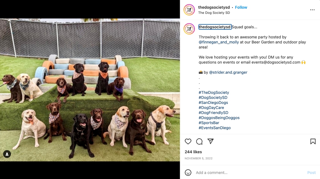 lab meetup post from Dog Society's instagram