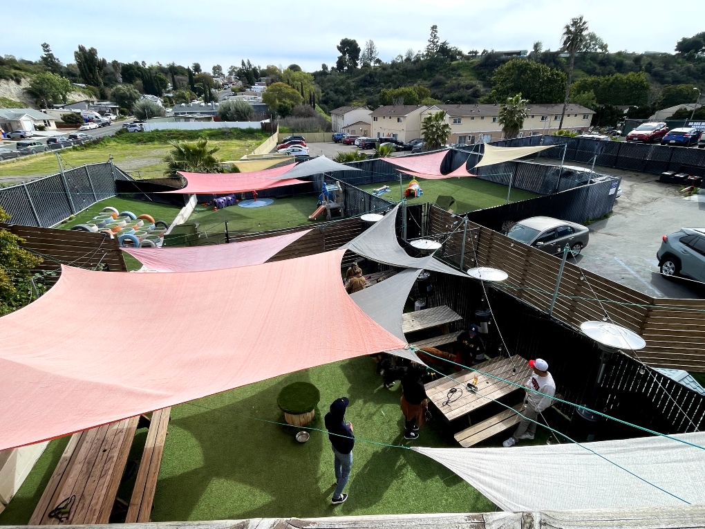 aerial view of boarding area at Dog Society