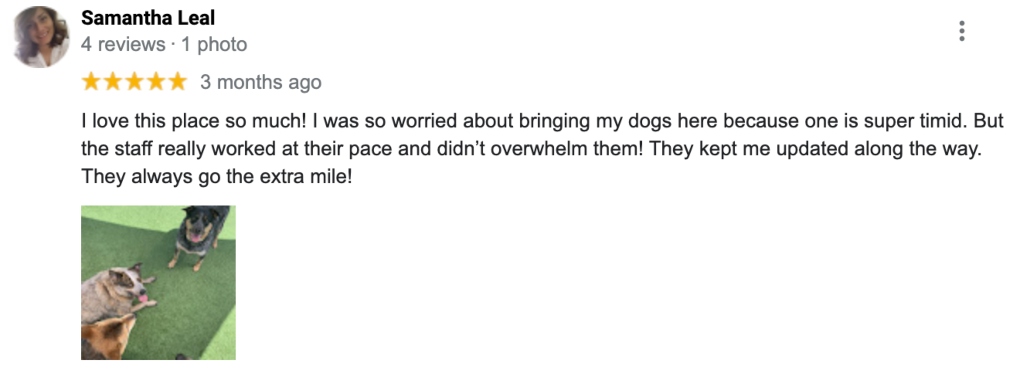 a Google review for the Dog Society SD