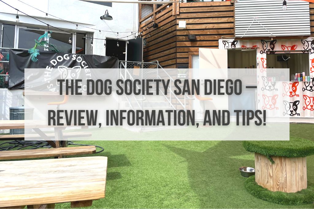 The Dog Society San Diego – Review, Information, and Tips!