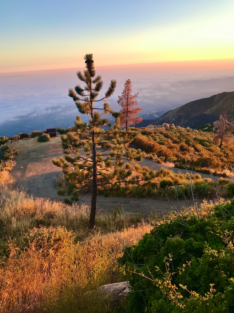 view in the Santa Barbara mountains