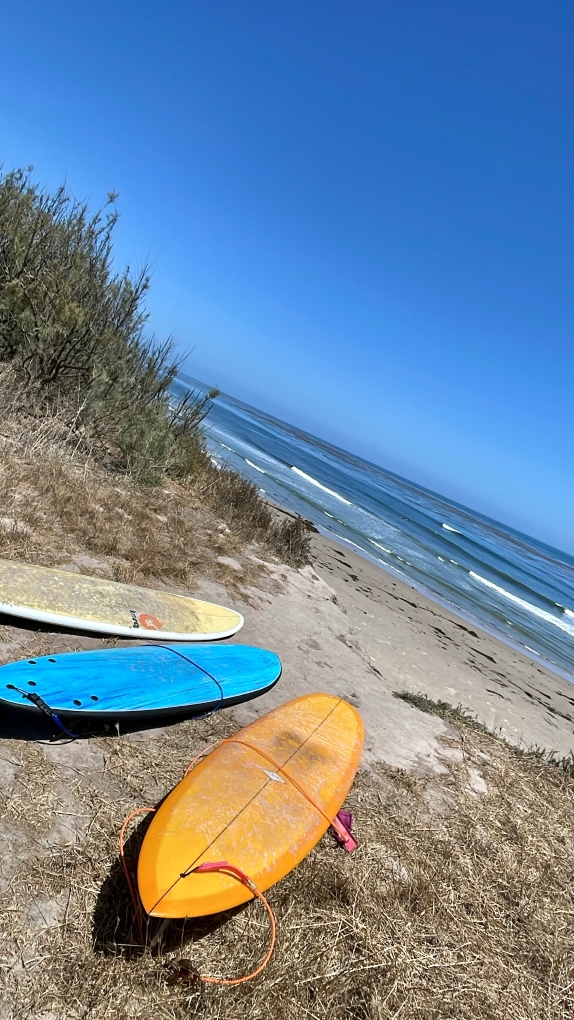 surfing in Santa Barbara