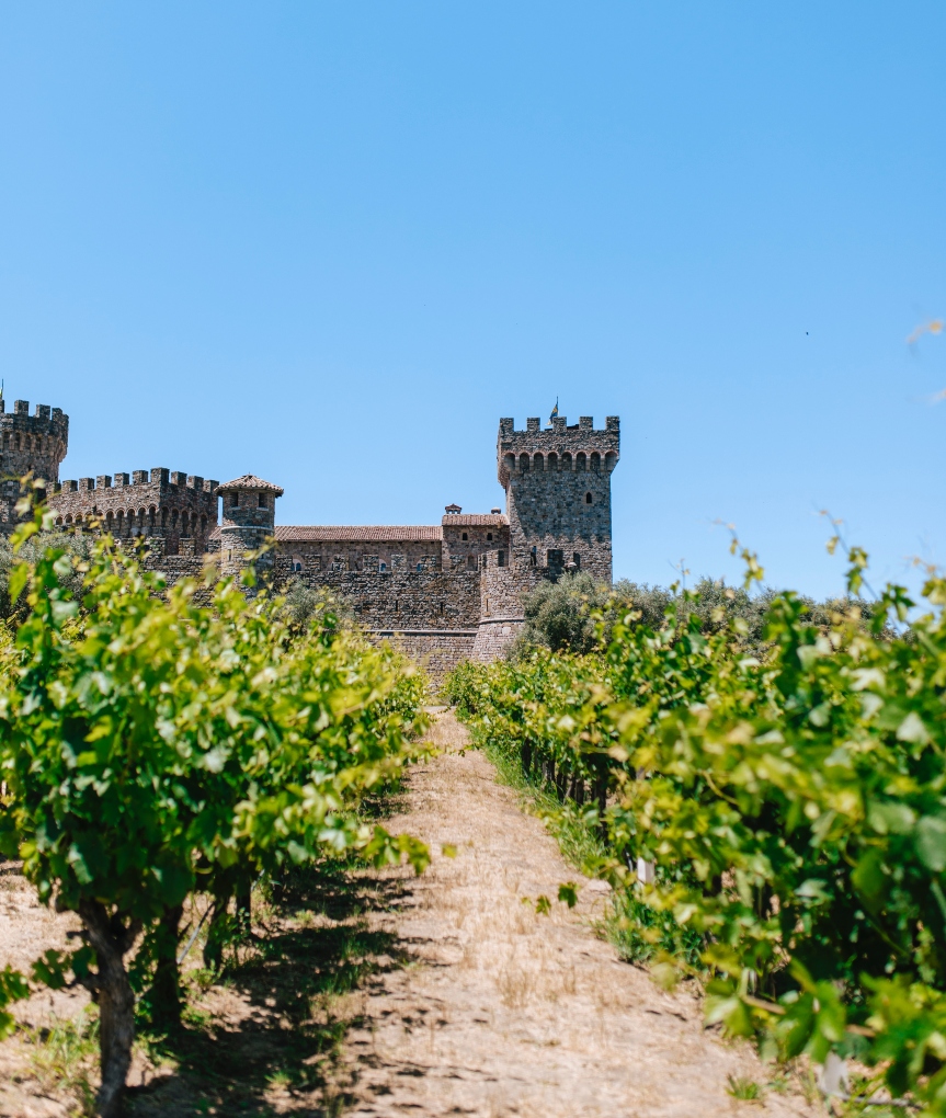 Napa Valley vineyard with a castle