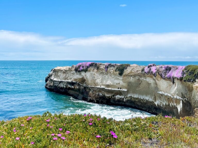 Is Santa Cruz Worth Visiting? 43 Pros and Cons to Consider — Make the