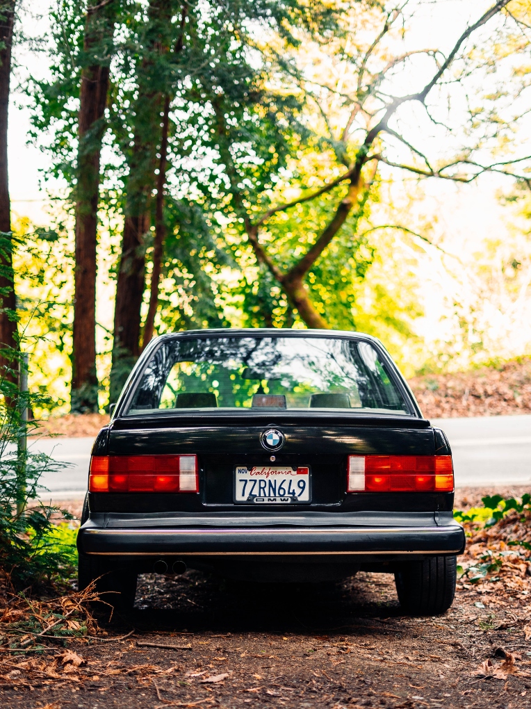 car in redwood forests