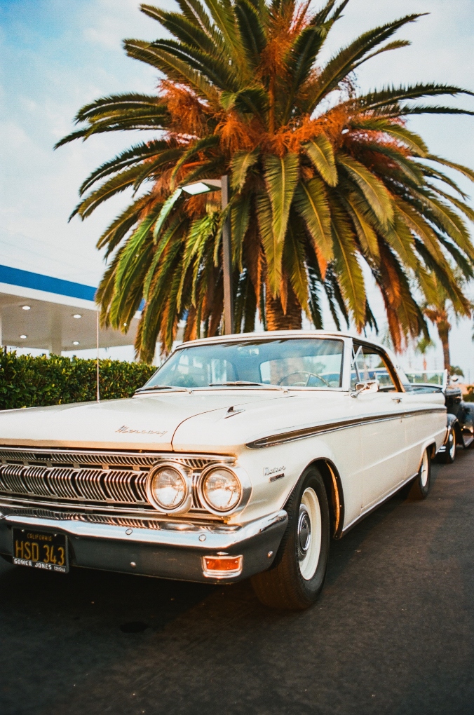car and palm tree in Huntington Beach
