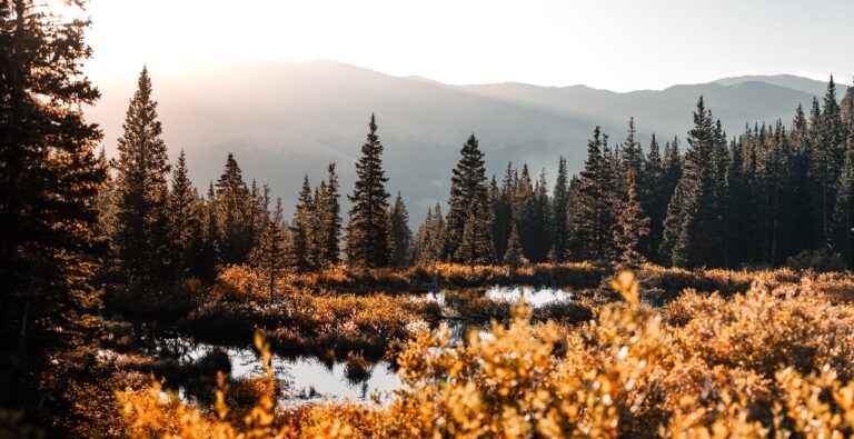 Blue Lakes Trail Colorado Full Guide 2024 Make The Trip Matter   Blue Lakes Trail Colorado 4 768x395 