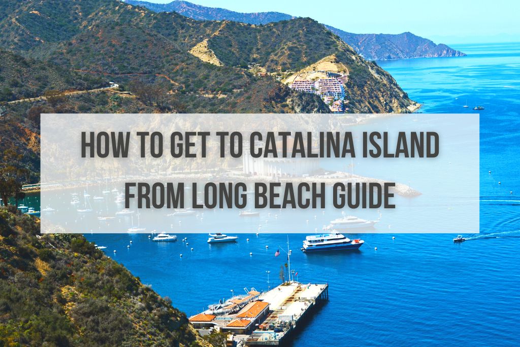 How to Get to Catalina Island From Long Beach Guide